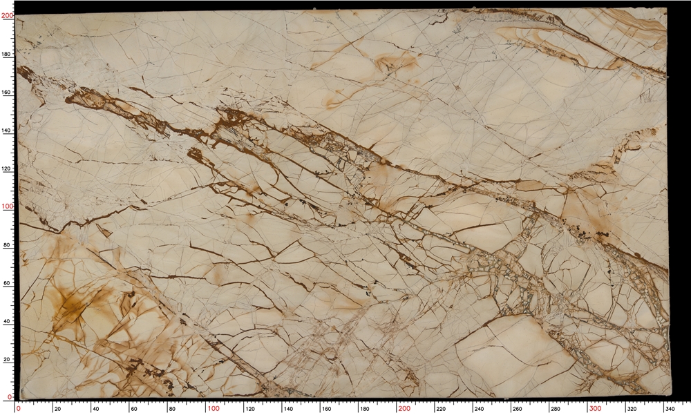 White Roma Quartzite Slabs : 205.669㎡ in stock