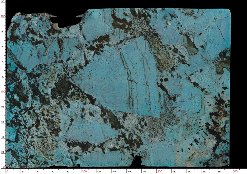 Tile img