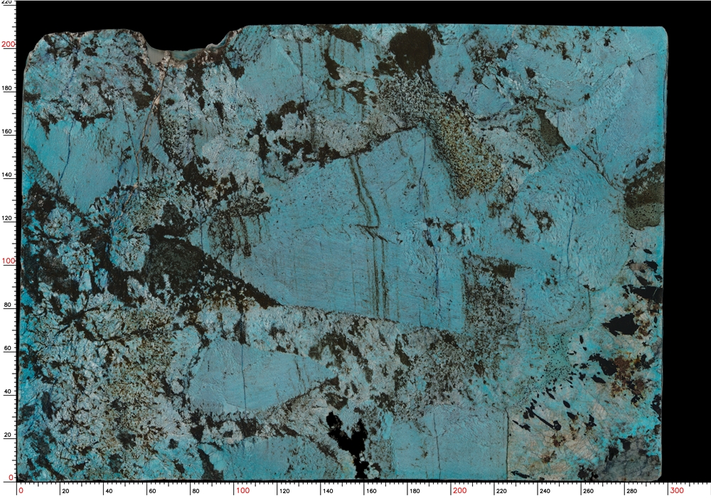 Tile img
