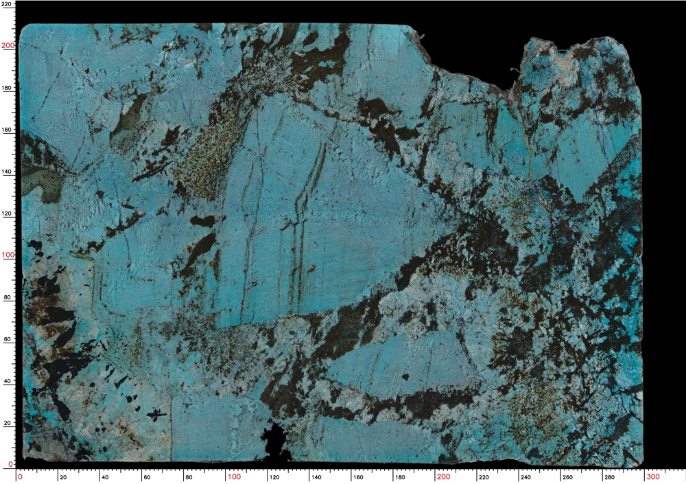 Tile img