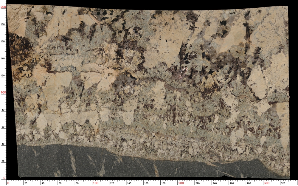 Splendor White Granite Slabs