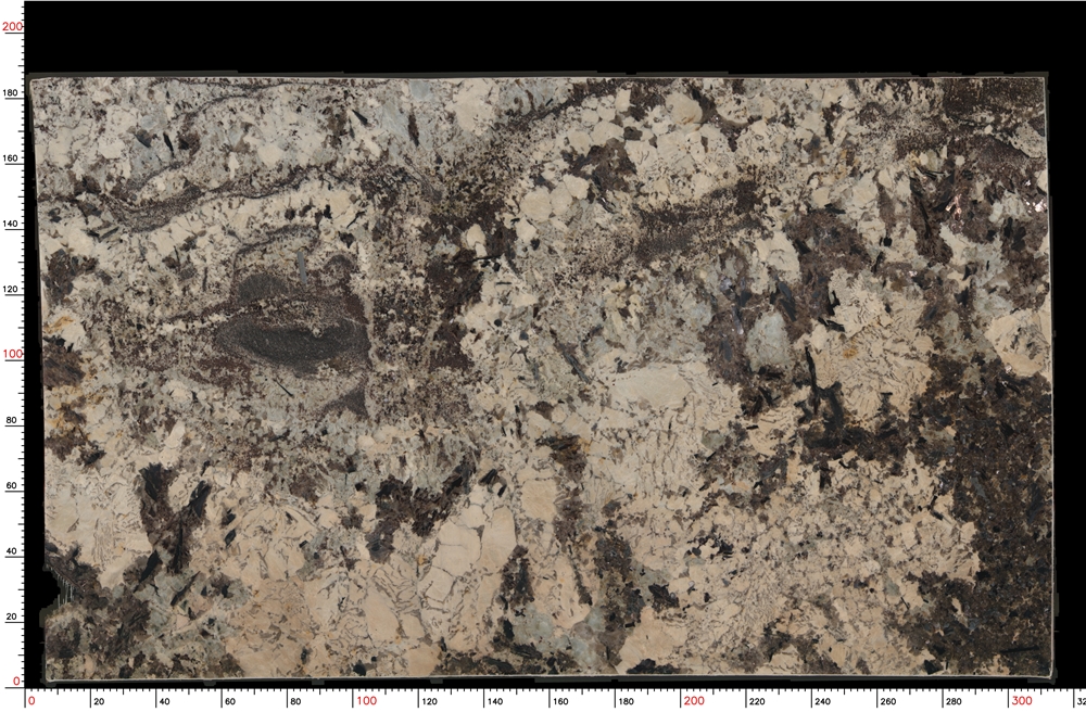 Splendor White Granite Slabs