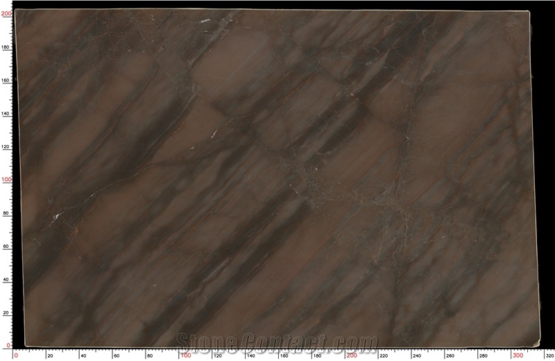 Elegant Brown Quartzite Slabs in stock-Stonecontact.com