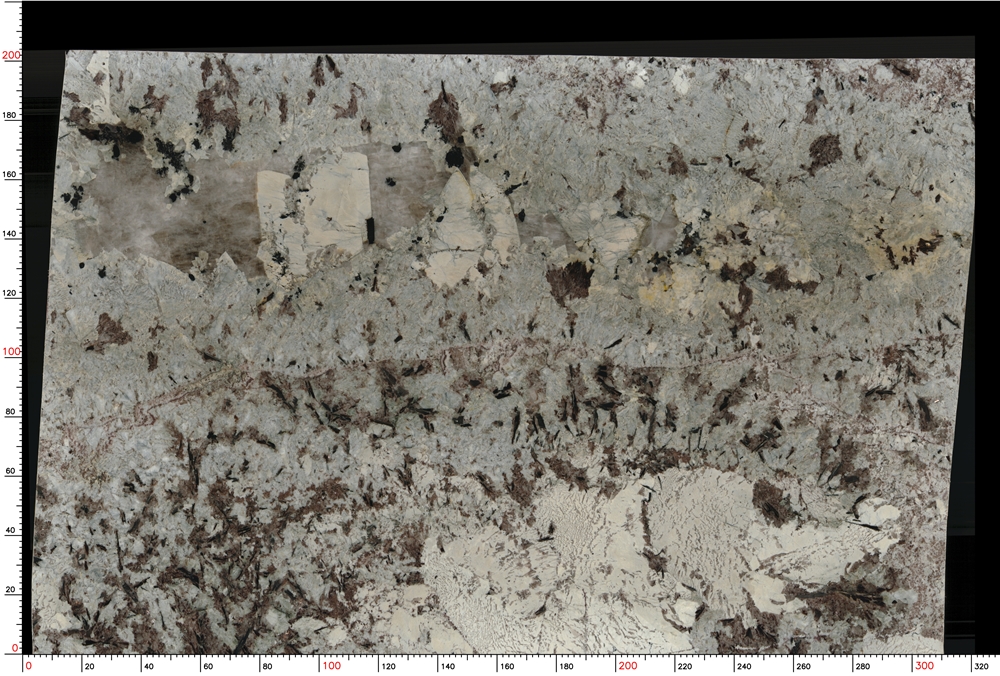 Splendor White Granite Slabs
