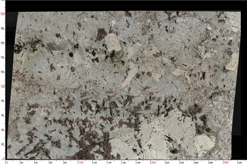 Splendor White Granite Slabs