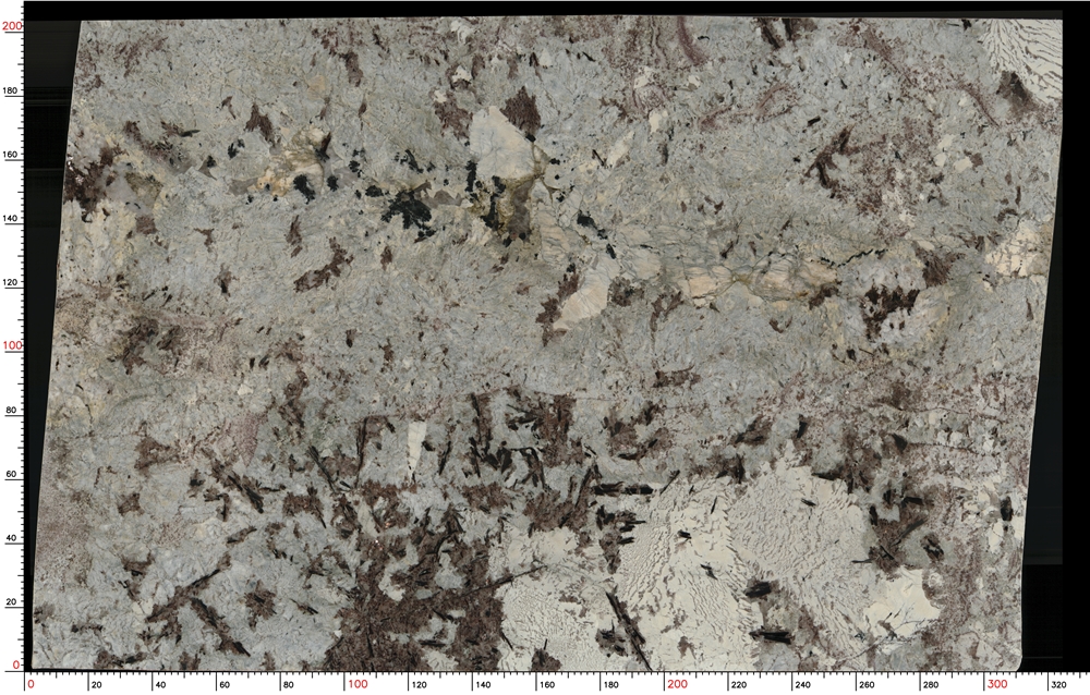 Splendor White Granite Slabs