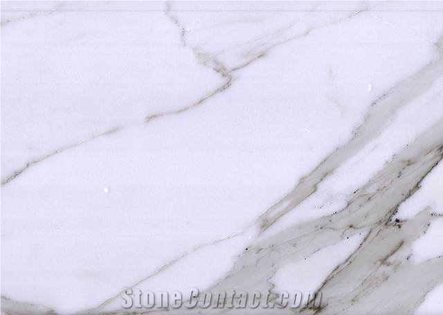 Bianco Calacatta Marble