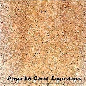 Amarillo Coral Limestone Tile, Spain Yellow Limestone