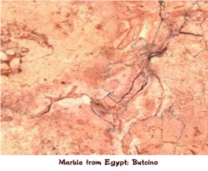 Butcino Marble Tile, Egypt Pink Marble