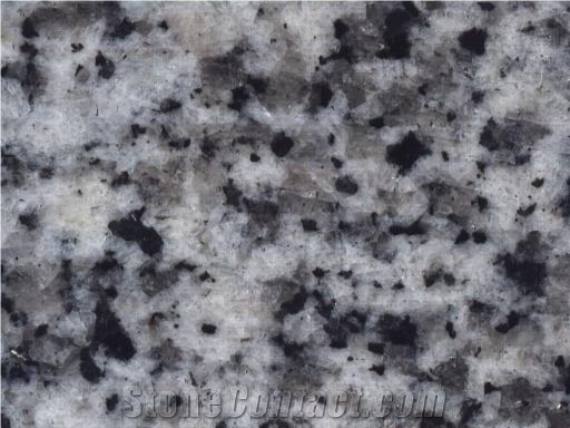 Supply Granite G640 Oriental White