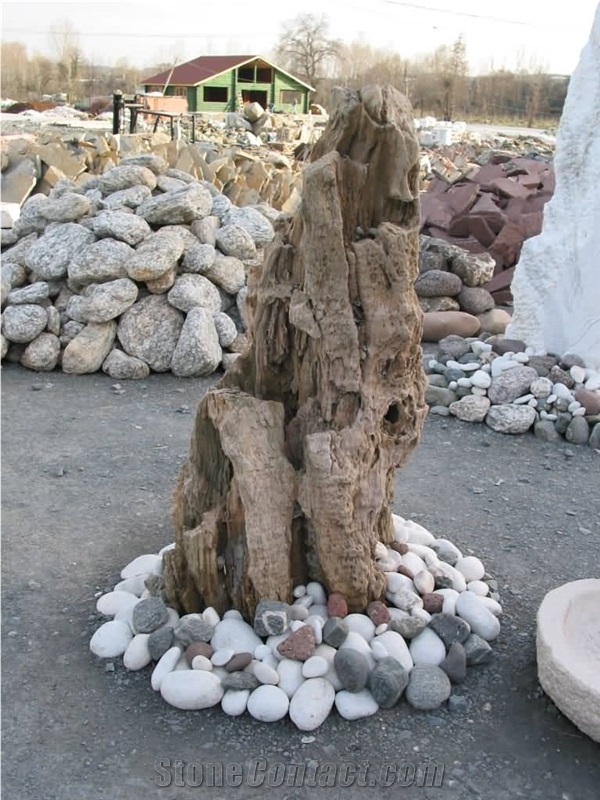 Petrified Wood Garden Stone