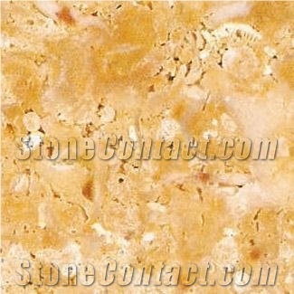 Amarillo Fosil Sandstone