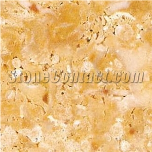 Amarillo Fosil Sandstone