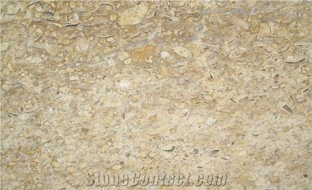 Mushal Kalk Limestone Slabs & Tiles