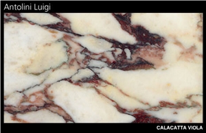 Calacatta Viola Marble Slabs & Tiles, Italy Lilac Marble