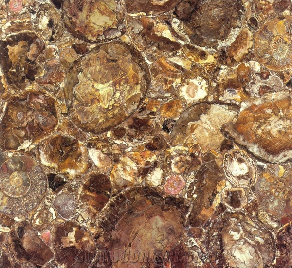 Brown Petrified Wood-Semiprecious Stones