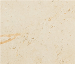 Fossil Ivory Limestone