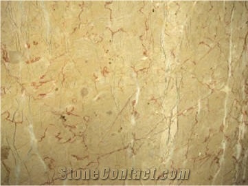 Alpinia Marble Polished Slabs & Tiles