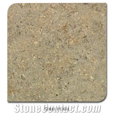 Sinai Pearl Limestone Slabs & Tiles