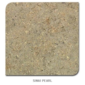 Sinai Pearl Limestone Slabs & Tiles