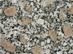 Espinho - Fine Grey Granite