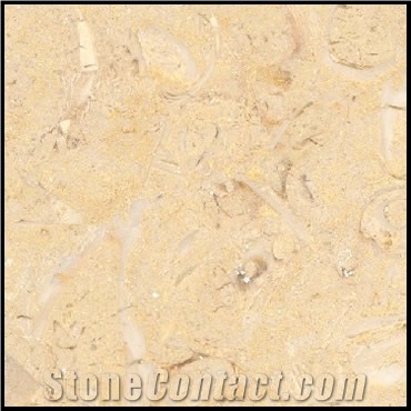 Kahtmia Beige Marble Fossilized Slabs & Tiles