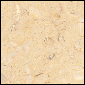 Kahtmia Beige Marble Fossilized Slabs & Tiles