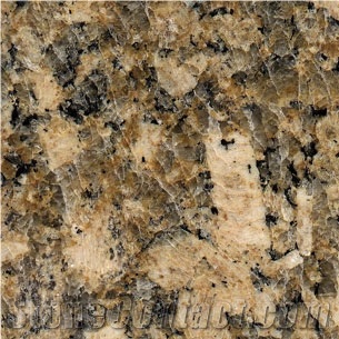 Giallo Fiorito Granite Slabs & Tiles