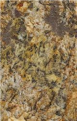 Persa Gold Tp Granite,Golden Persa Granite Slabs & Tiles,Brazil Yellow Granite