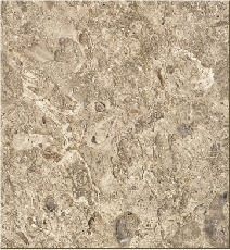 Aurisina Fiorita Marble Tiles