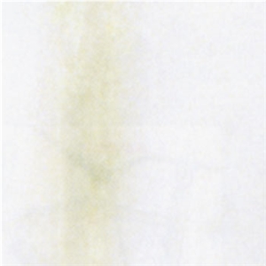 Dionyssos White Marble Slabs & Tiles