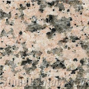 Guangdong Pink Porrino Granite Slabs & Tiles, China Pink Granite