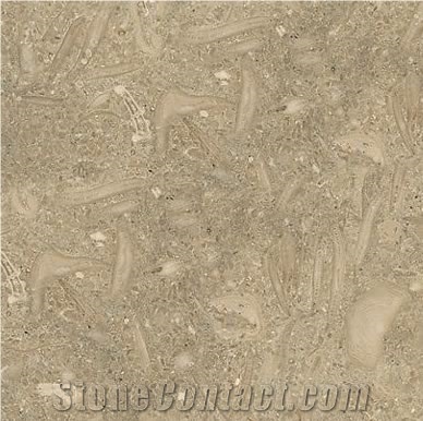 Fossil Limestone Slabs & Tiles, Spain Beige Limestone from United