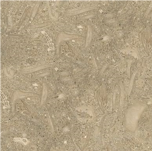 Fossil Limestone Slabs & Tiles, Spain Beige Limestone
