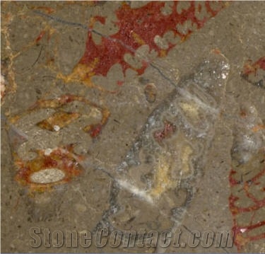 Fossil Red Limestone Slabs & Tiles
