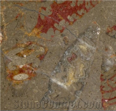 Fossil Red Limestone Slabs & Tiles from Italy - StoneContact.com