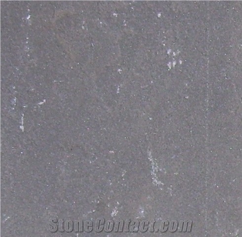 Sagar Black Sandstone Slabs & Tiles, India Black Sandstone