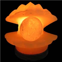 Handcrafted Pearl Shell Salt Lamp