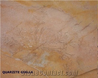 Gialla Di Barge Quartzite Slabs & Tiles, Italy Yellow Quartzite
