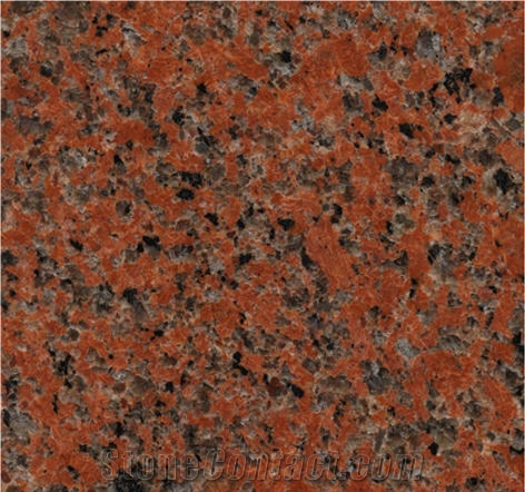 Anthurium Red Granite Slabs & Tiles