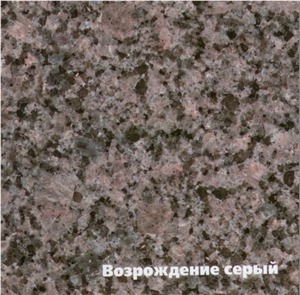 Vozrozhdenie Granite Slabs & Tiles, Russian Federation Grey Granite