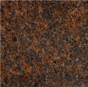 Coffee Brown Granite Tile, India Brown Granite