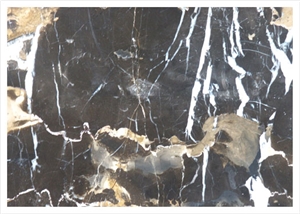 Black & Gold Marble
