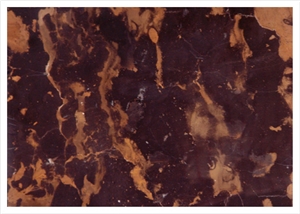 King Gold Marble Slabs & Tiles, Pakistan Black Marble