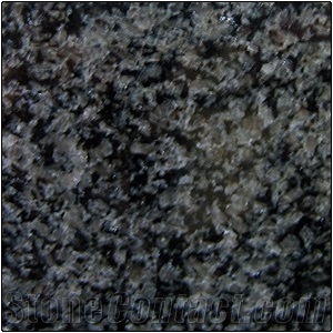 China Impala Black Granite Slabs & Tiles