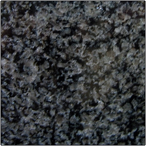 China Impala Black Granite Slabs & Tiles