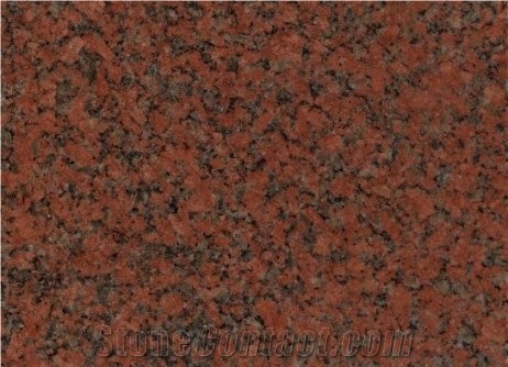 American Red - Granite