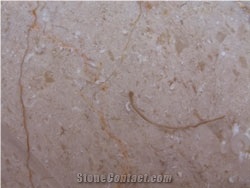Special Offer: Crema Angora Marble