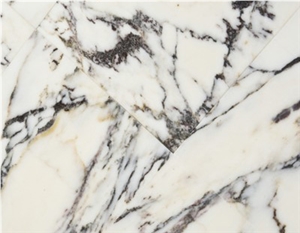 Breccia Violetta Marble Flooring Slabs & Tiles, Italy Lilac Marble