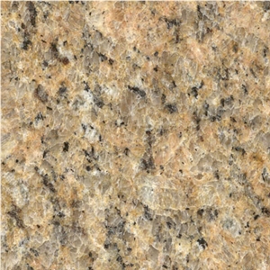 Giallo Venezia Granite Slabs & Tiles